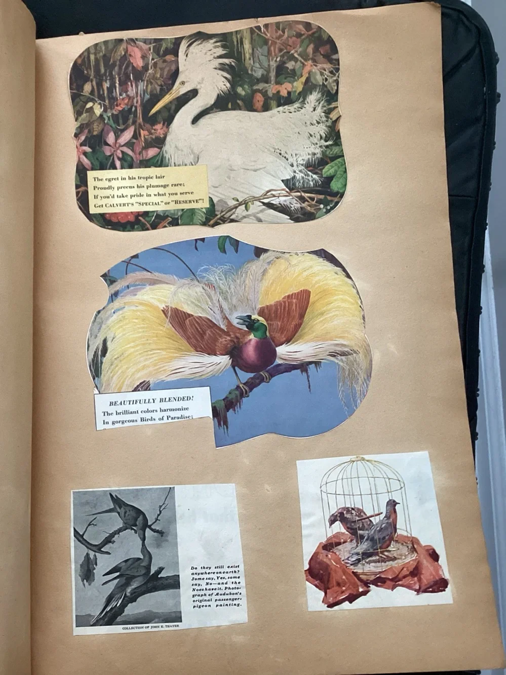 Antique published in 1929 SCRAPBOOK with animal Illustrations